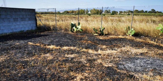 Incendio nel Parco Molentargius: <i>beccato</i> il responsabile
