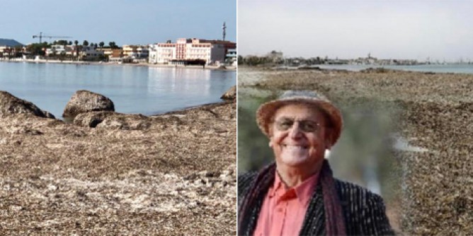 Spiagge e alghe, <i>screenshot</i> fatale