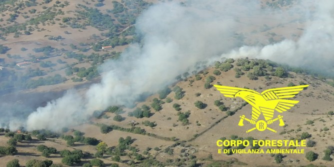 Fiamme a Cabras: oliveti in <i>fumo</i>