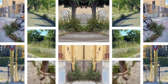 Verde e degrado, il <i>collage</i> fa discutere