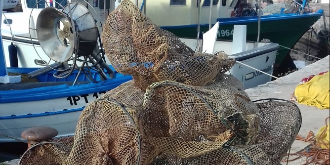Giornata mondiale oceani: <i>Amp</i> Capo Caccia e Alghero fanno la loro parte