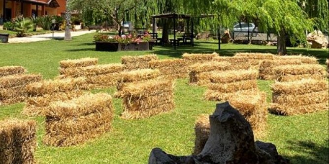 <i>AgriTeatr</i>, 13 serate ai Vigneti