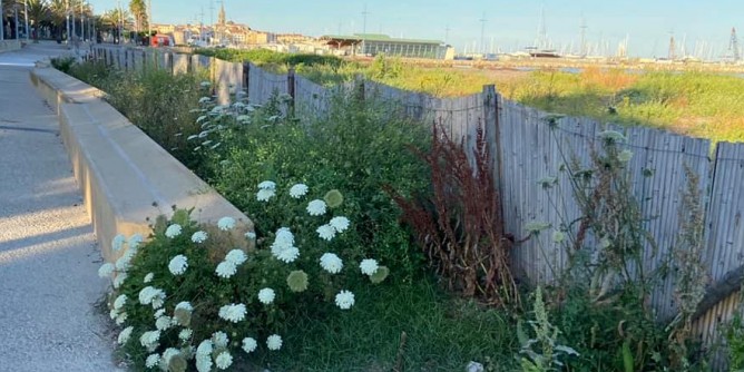 20 giugno: San Giovanni <i>infestata</i>