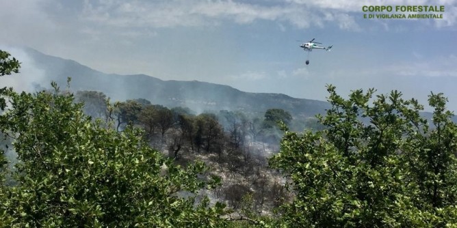 Fiamme a Olbia e Codrongianos
