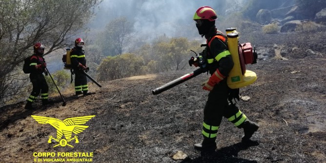 Fiamme nell´isola: 13 incendi in 24 ore