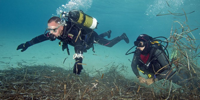 Accessibilit per tutti: premio all´Asinara