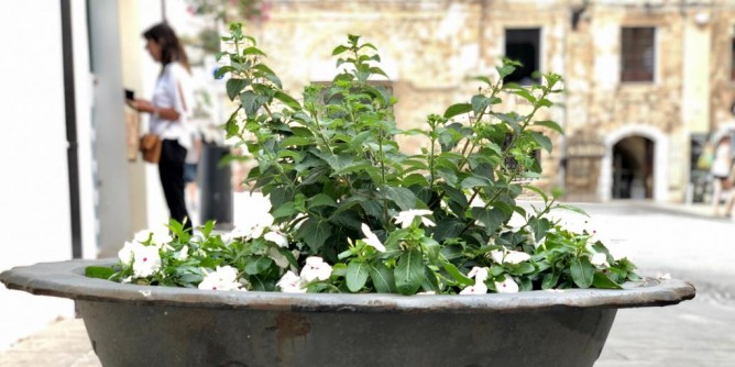 Alghero: certificati anagrafici in tabaccheria