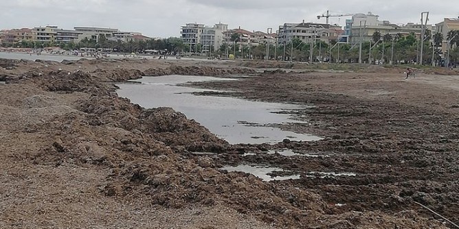 Si corre ai ripari cingoli in spiaggia