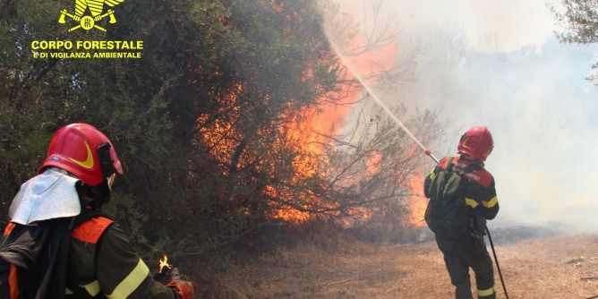 Fiamme nelle campagne di Tempio
