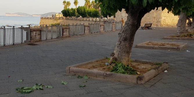 Wwf, nuovo allarme per Alghero
