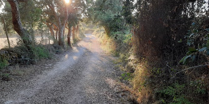 Strade rurali: investimenti a Villanova Monteleone