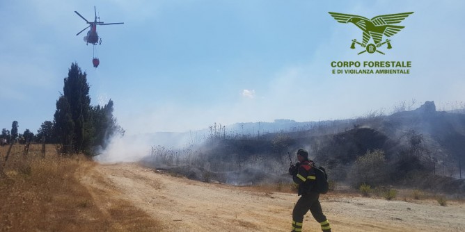 Fiamme nelle campagne algheresi