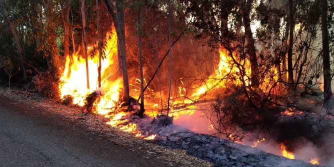 Incendio all´Arenosu, <i>115</i> in azione
