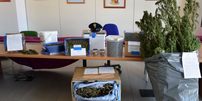 Marijuana in casa: olbiese in manette