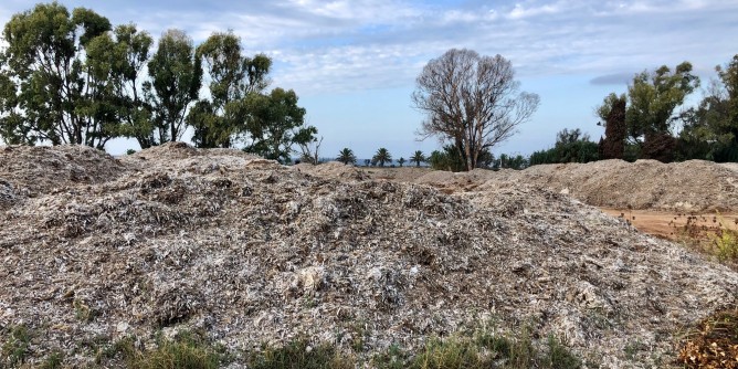 Posidonia, Tavera: basta ritardi. «Danno d´immagine per Alghero»