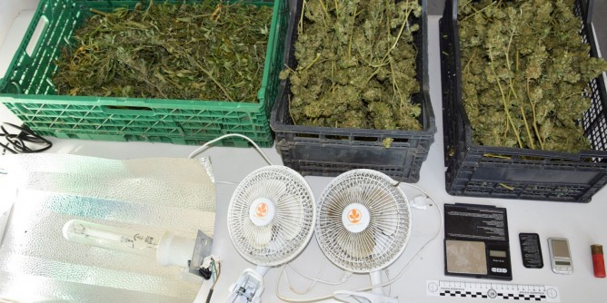 Olbia: 1,5<i>kg</i> di marijuana in casa
