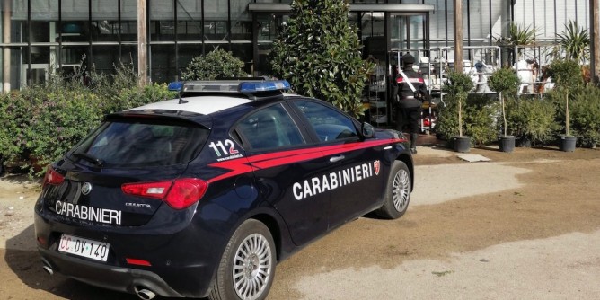 Evade e ruba nel vivaio: arrestato a Sassari