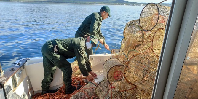 Pesca <i>illegale</i> a Porto Conte: liberati 50kg di pesci e polpi
