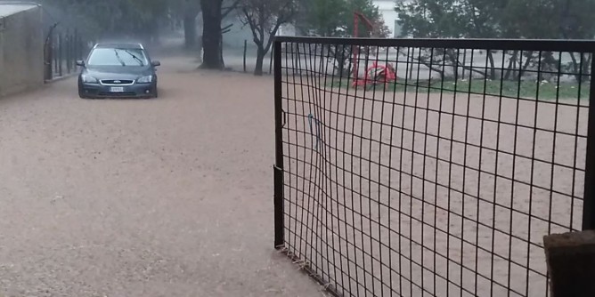 «Maltempo, agricoltura in ginocchio»
