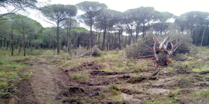 Interventi <i>invasivi</i> a Platamona: allarme degli ambientalisti