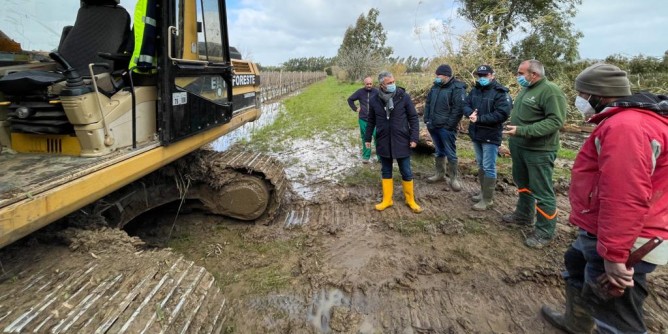 Bonifica: Protezione civile e Forestas intervengono sui canali