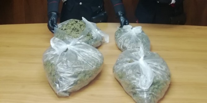 <i>Beccati</i> con 3kg di marijuana: arrestati due fratelli