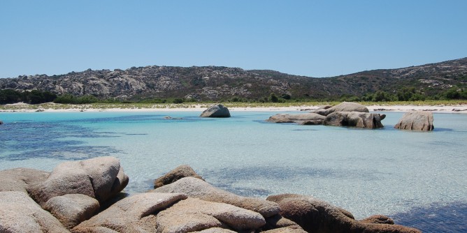 Parco Asinara, bilancio approvato