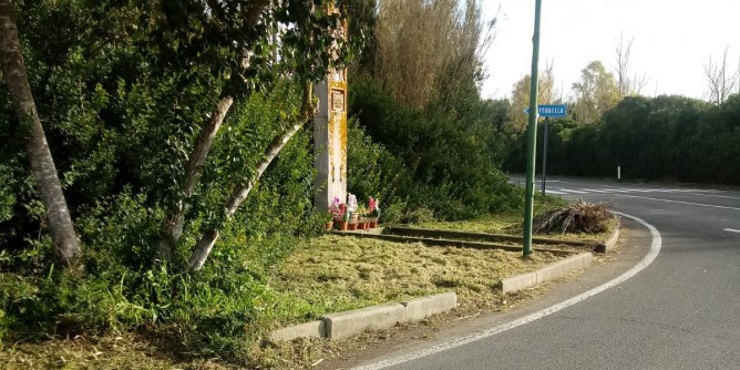 Sassari: proseguono cure al verde pubblico