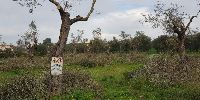 Wwf: In salvo le <i>sentinelle</i> verdi