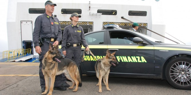 Sbarca con gli <i>ovuli</i>: nigeriano in manette