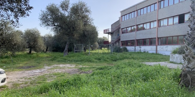 Si avvia la Forestazione urbana ad Alghero