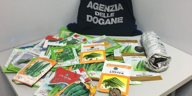 Alghero: sequestro di semi <i>sospetti</i> in aeroporto