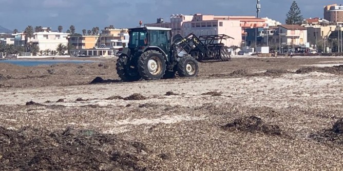 Posidonia: inizio delle rimozioni ad Alghero