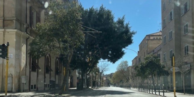 Manutenzione straordinaria vie alberate