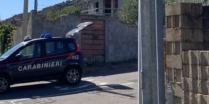 Irregolarità nell´allevamento: rappresentante nei guai