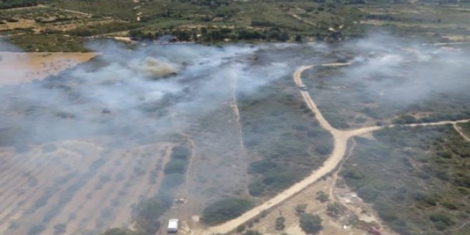 Incendi nell´Isola: 5ettari di terreni in fiamme