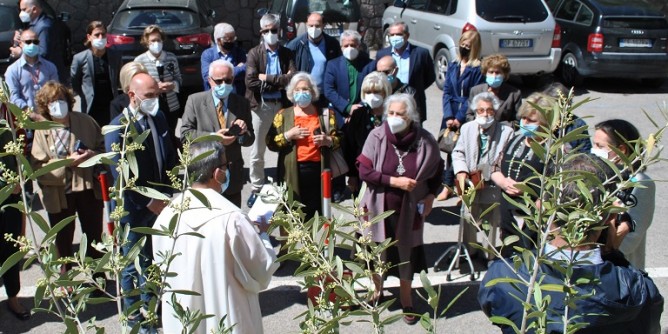 Un albero d´ulivo per il personale sanitario