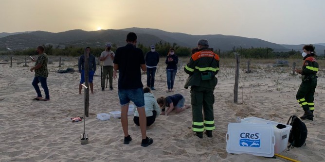 A Chia un nido di <i> Caretta caretta</i>