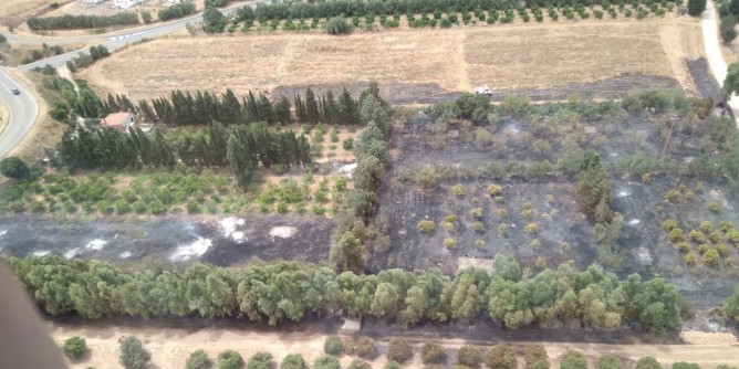 Roghi Oristanese, <i>class action</i> Codacons