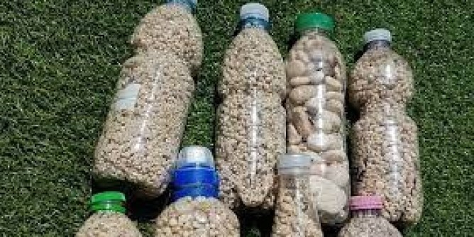 Sabbia e conchiglie, multe ad Alghero e Olbia