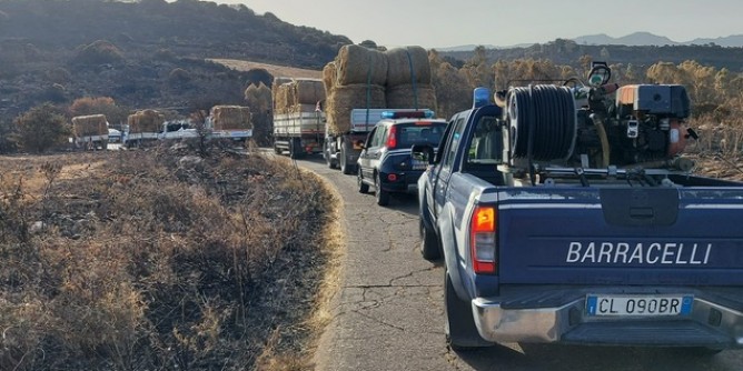 Porto Torres: reclutamento Barracelli