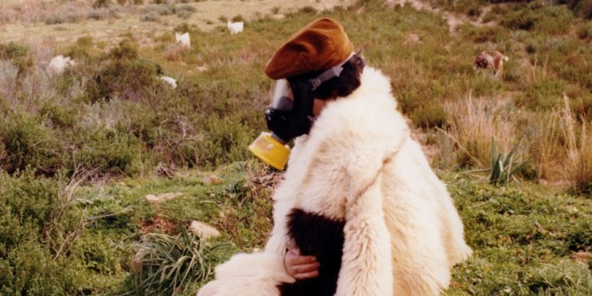 Life After Oil <i>omaggia</i> Pedicini