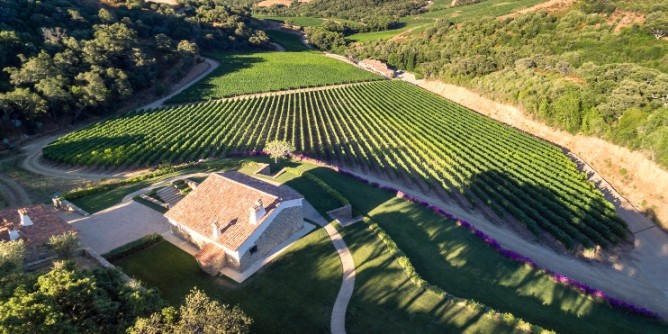 Cantina Siddùra: svolta <i>green</i>
