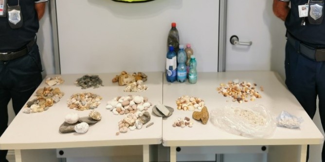 Conchiglie e sabbia, sequestri ad Alghero