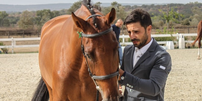Premio allevamento equino: <i>Cloes</i> campione
