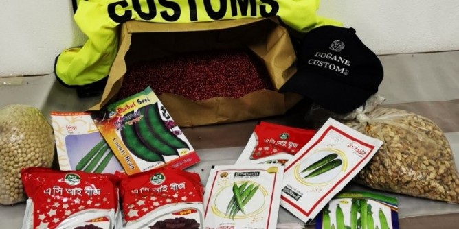 Alghero: sequestro di semi e vegetali