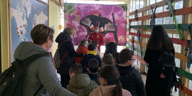 Classe di Sassari apre la Butterfly House
