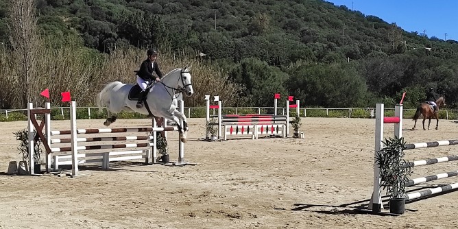 Equitazione: dressage e salti a Golfo Aranci