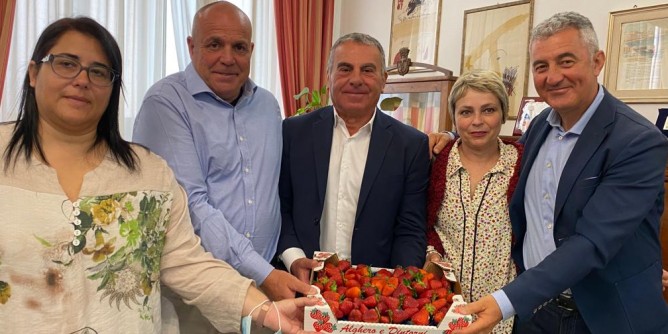 Fragole: tutto pronto a Sa Segada