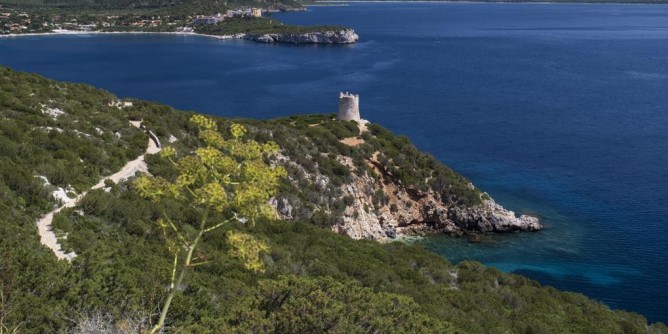 Campo boe nella rada di Alghero: firmano Regione e Capitaneria